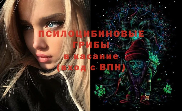 a pvp Новодвинск