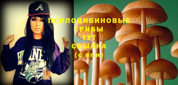 mdpv Нефтекумск